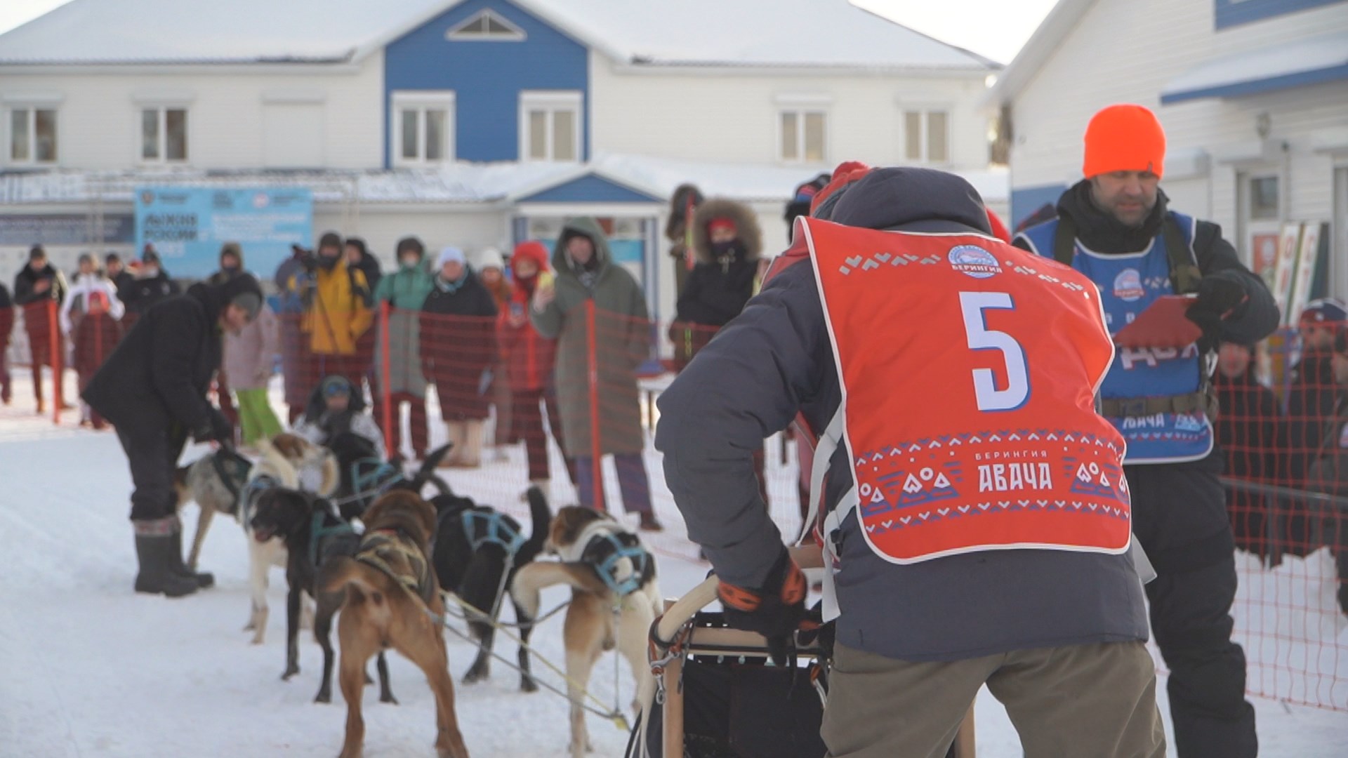 Гонка берингия 1990. Камчатка берингия гонки на собаках. Берингия собачьи упряжки. Берингия гонка. Камчатка берингия гонки на собаках.